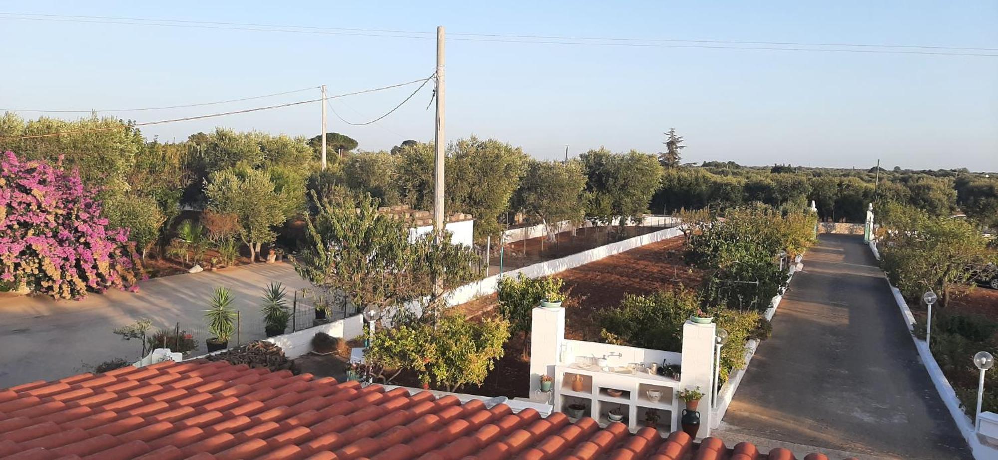 Villa Mina Ostuni Esterno foto